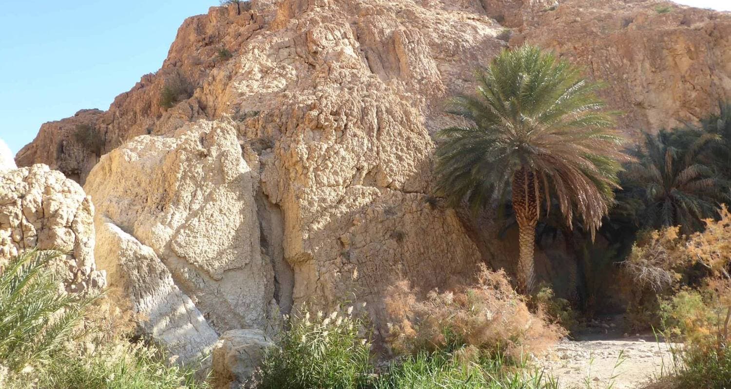 Tunisia: From Carthage to the Oases – A 10-Day Odyssey Bridging History & the Sahara — photo 3