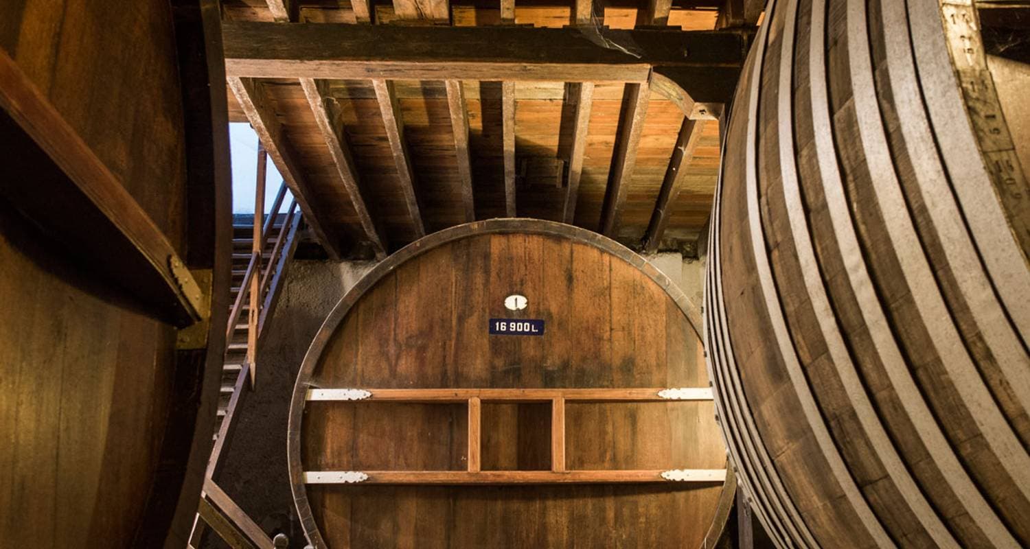 4 Days: Wine Experience in Montevideo