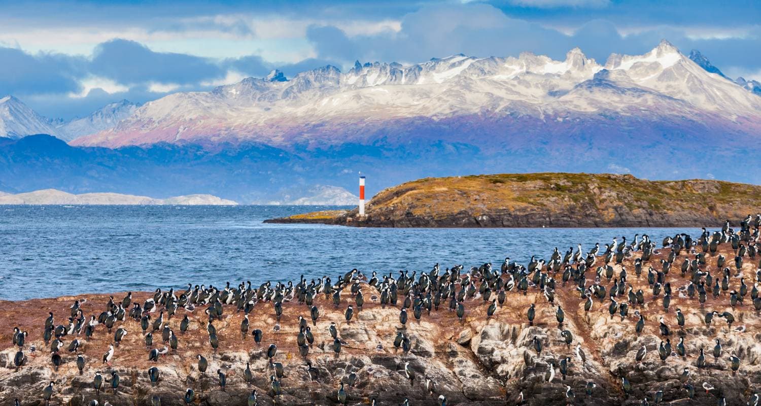 Extended Falklands, South Georgia & Antarctic Circle (Ocean Albatros)