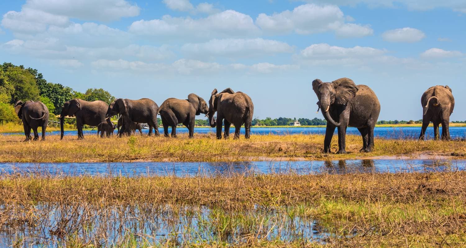 Southern Africa Safari (27 destinations)