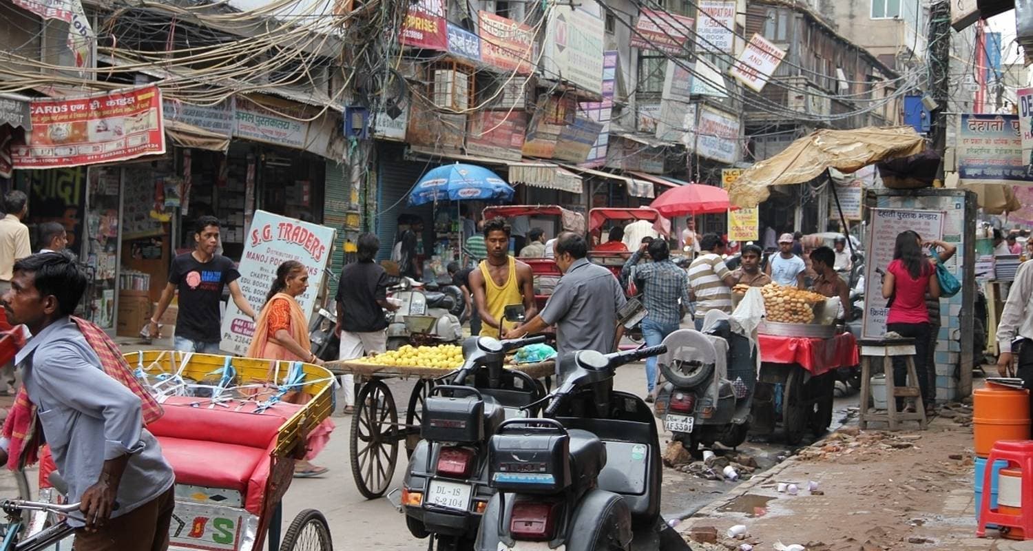 Golden Triangle & Tigers — photo 3