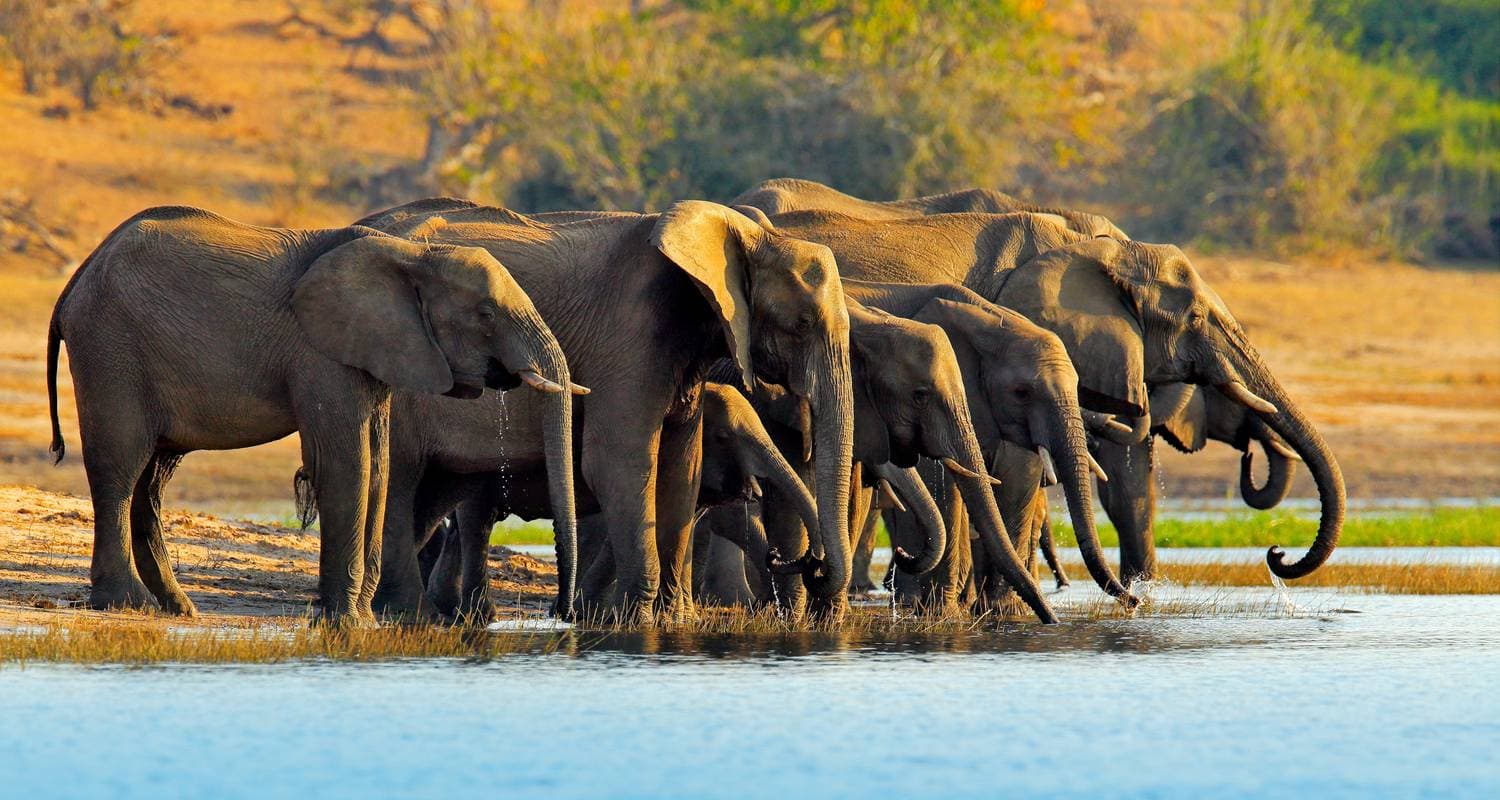 Okavango Experience