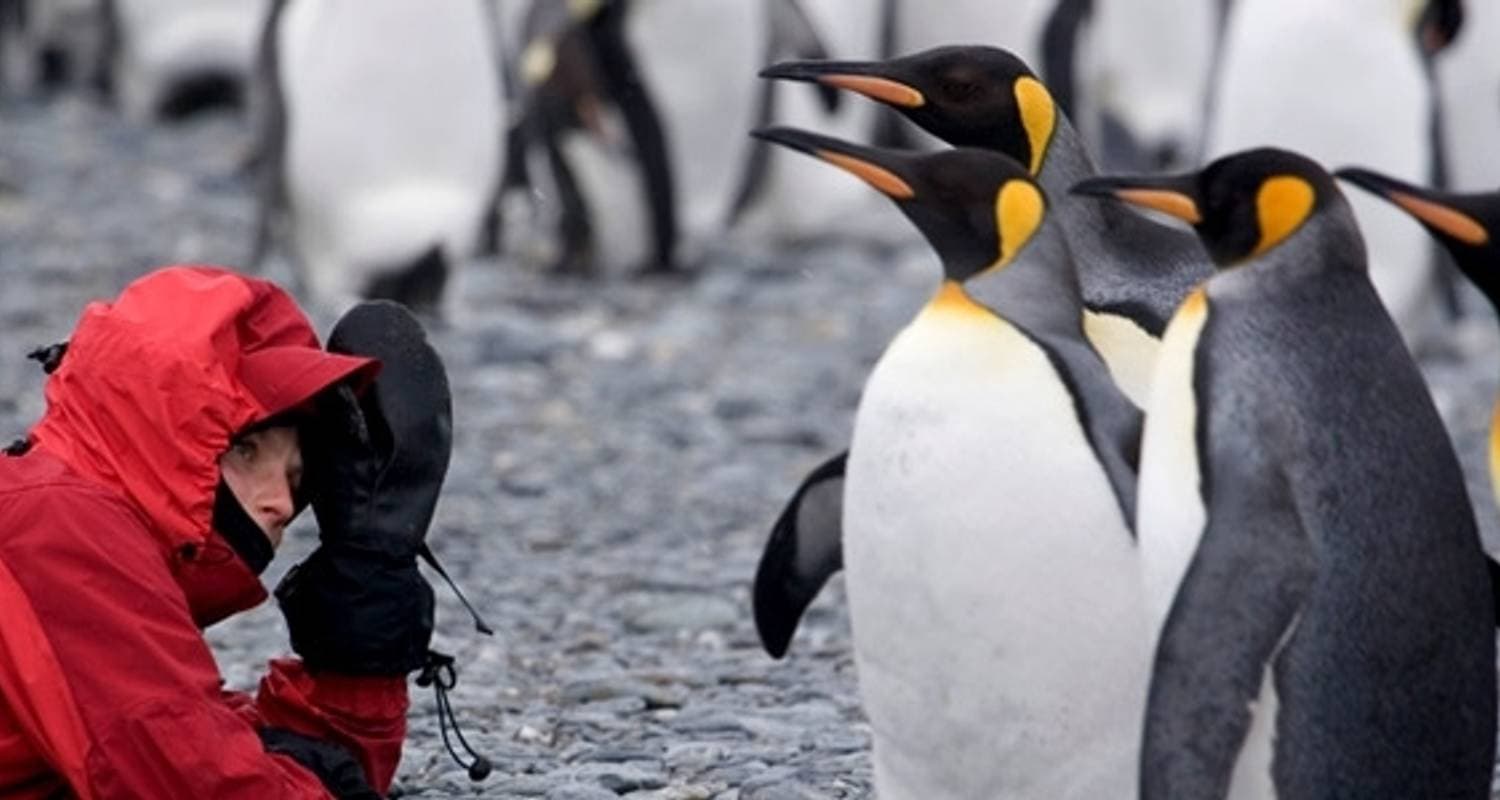Falklands, South Georgia & Antarctica