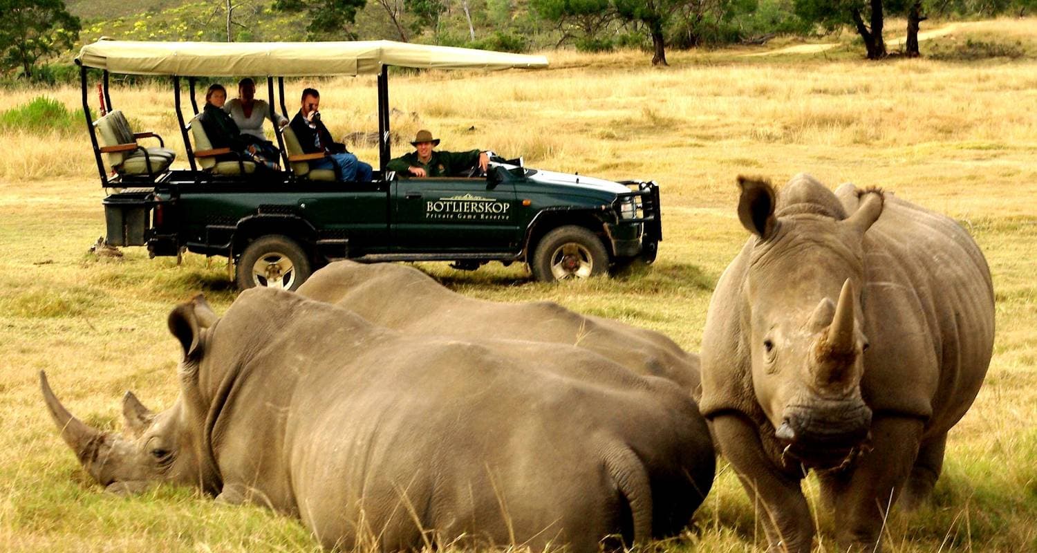 Garden Route + Safari Highlights Tour from Cape Town