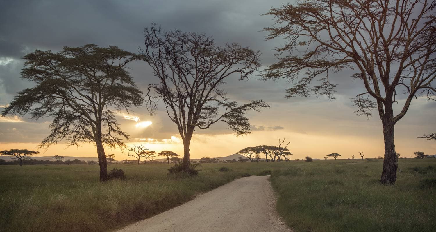 Cape Town to the Serengeti: Deserts & Wilderness