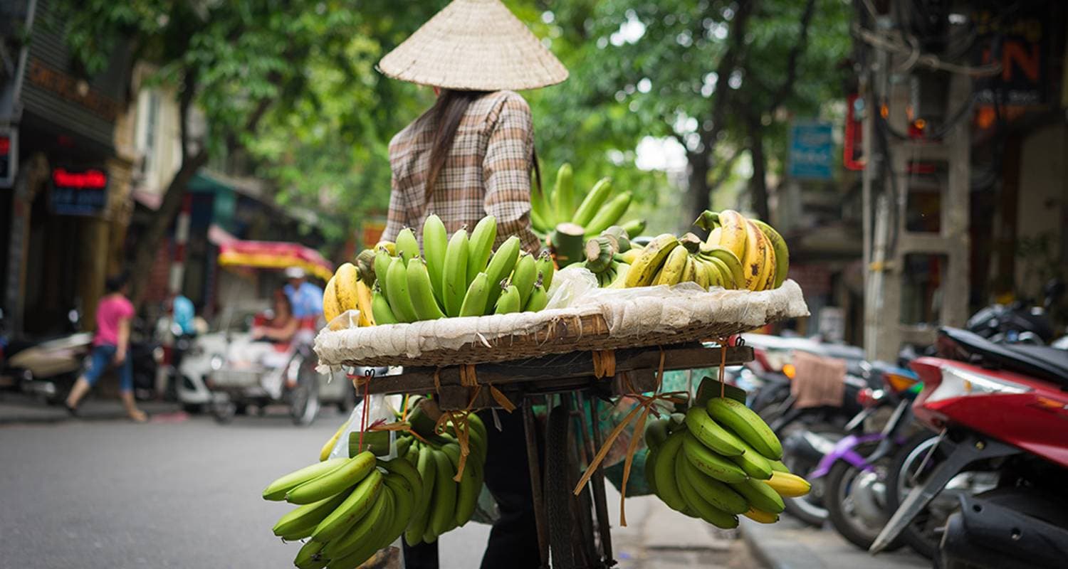 Treasures of Vietnam — photo 3