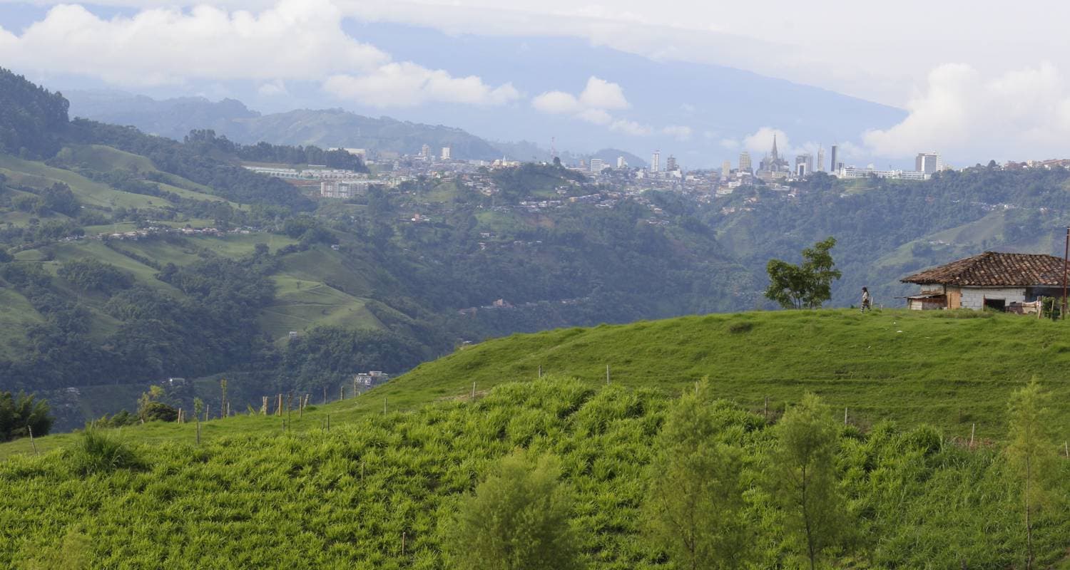 Cafe Colombia