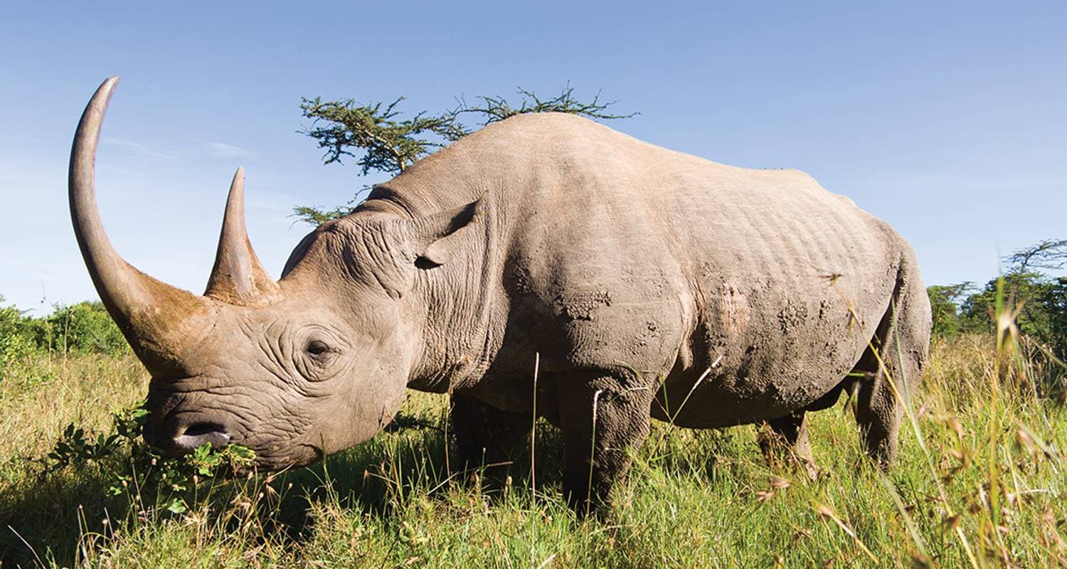 South Africa Family Safari with Teenagers — photo 3