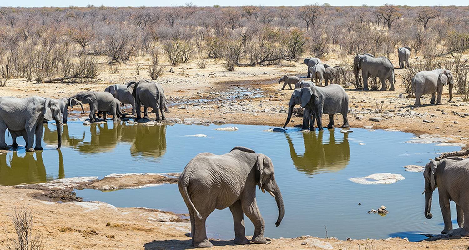 South Africa Family Safari with Teenagers — photo 2