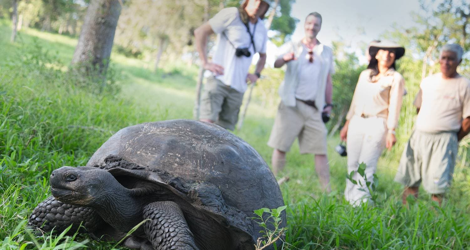 Galápagos Island Hopping (9 destinations)