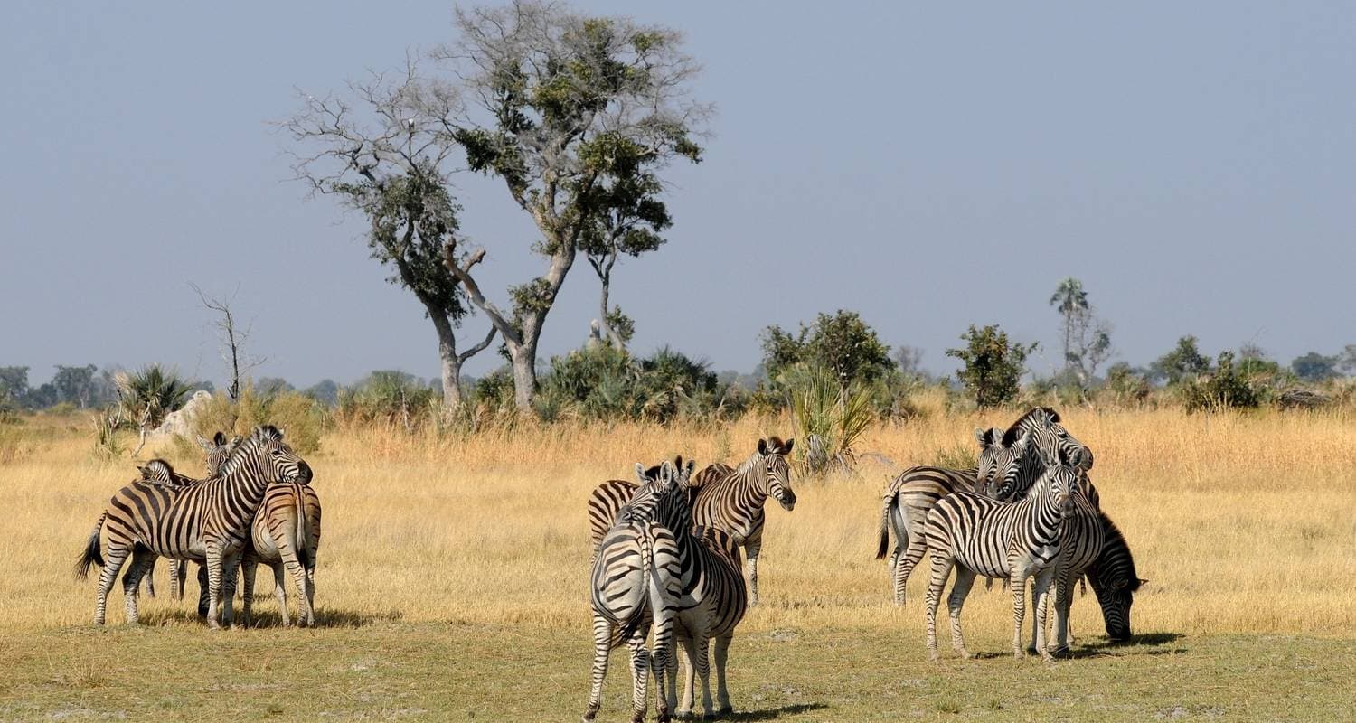 Botswana Adventure