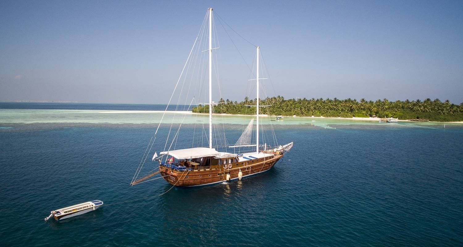 7N Maldives Whale Shark Conservation Cruise