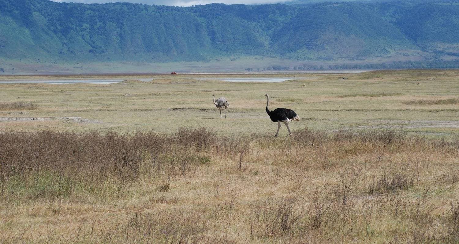 Kenya & Tanzania 4WD Safari Adventure — photo 3