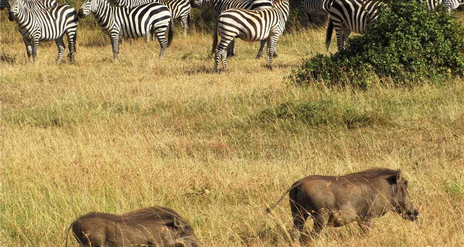 Kenya & Tanzania 4WD Safari Adventure