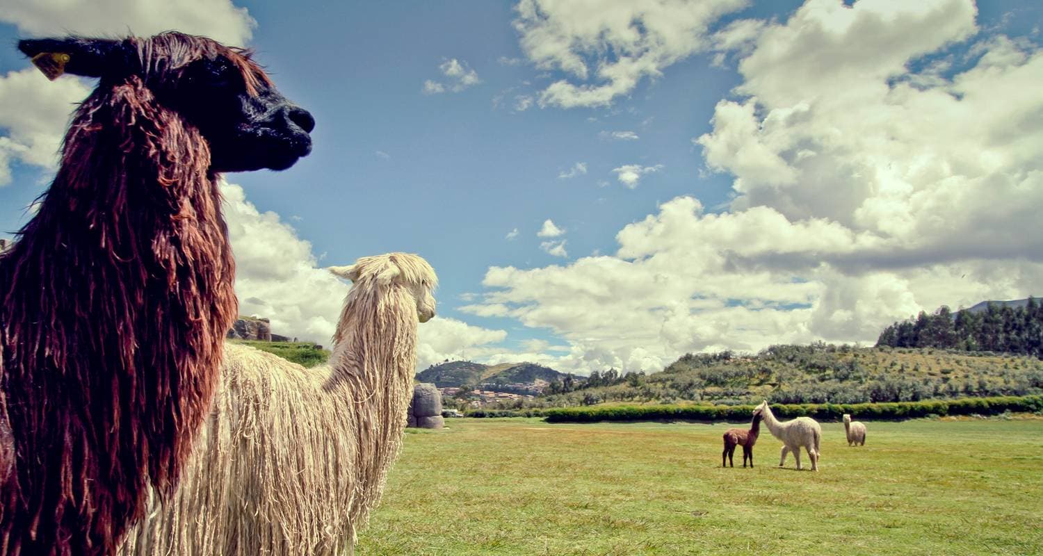 The Scenic Route - Lima to Buenos Aires