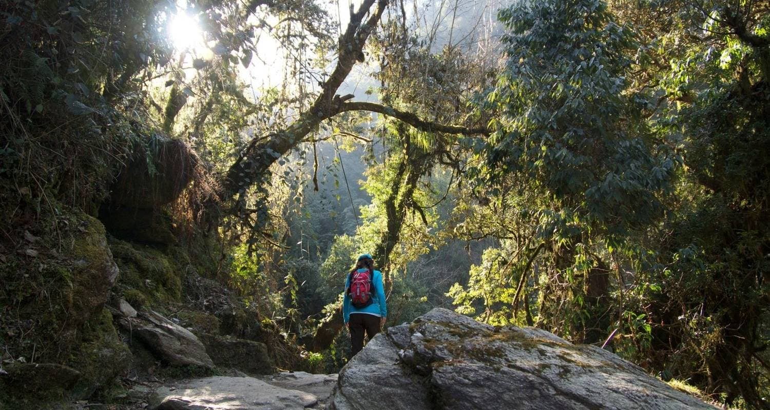 Annapurna Discovery — photo 3