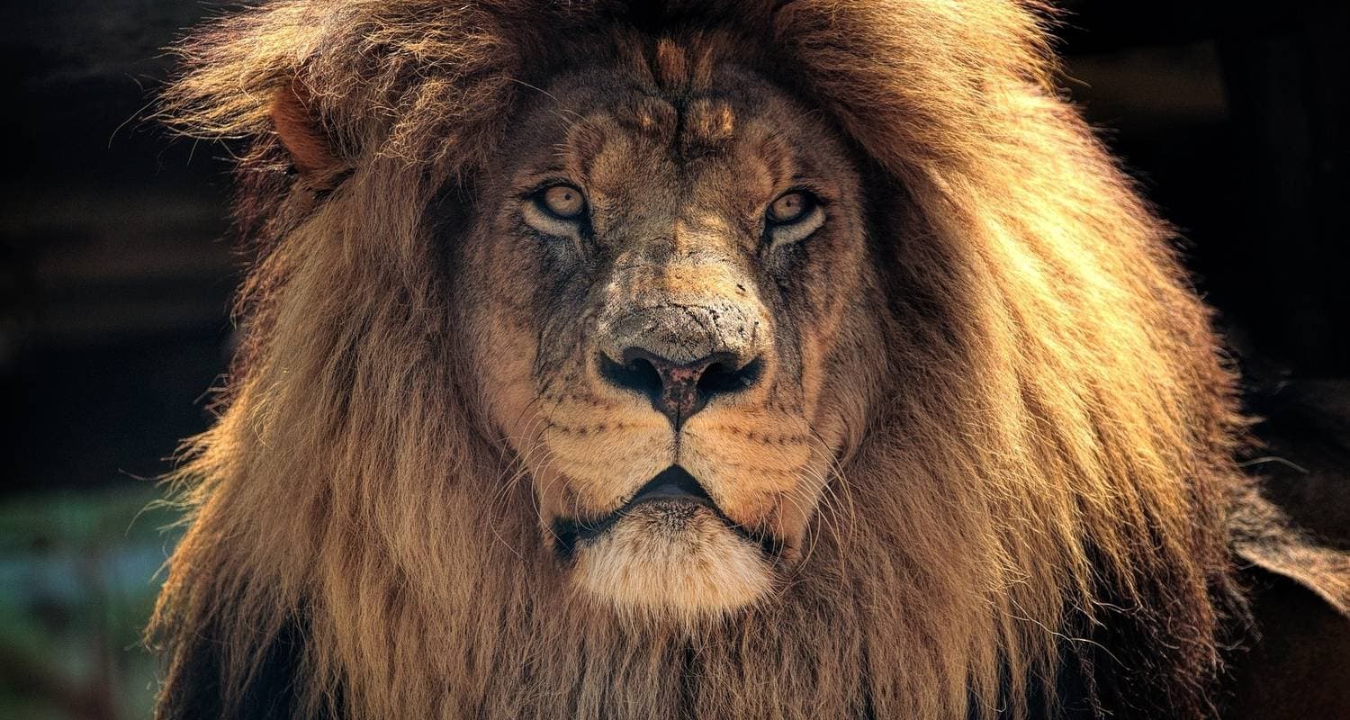 Kruger National Park