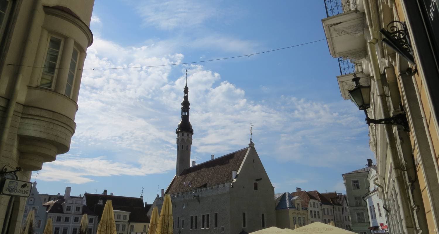 Great Bike Tour of the Baltics (fully guided from Vilnius to Tallinn 2026) — photo 3