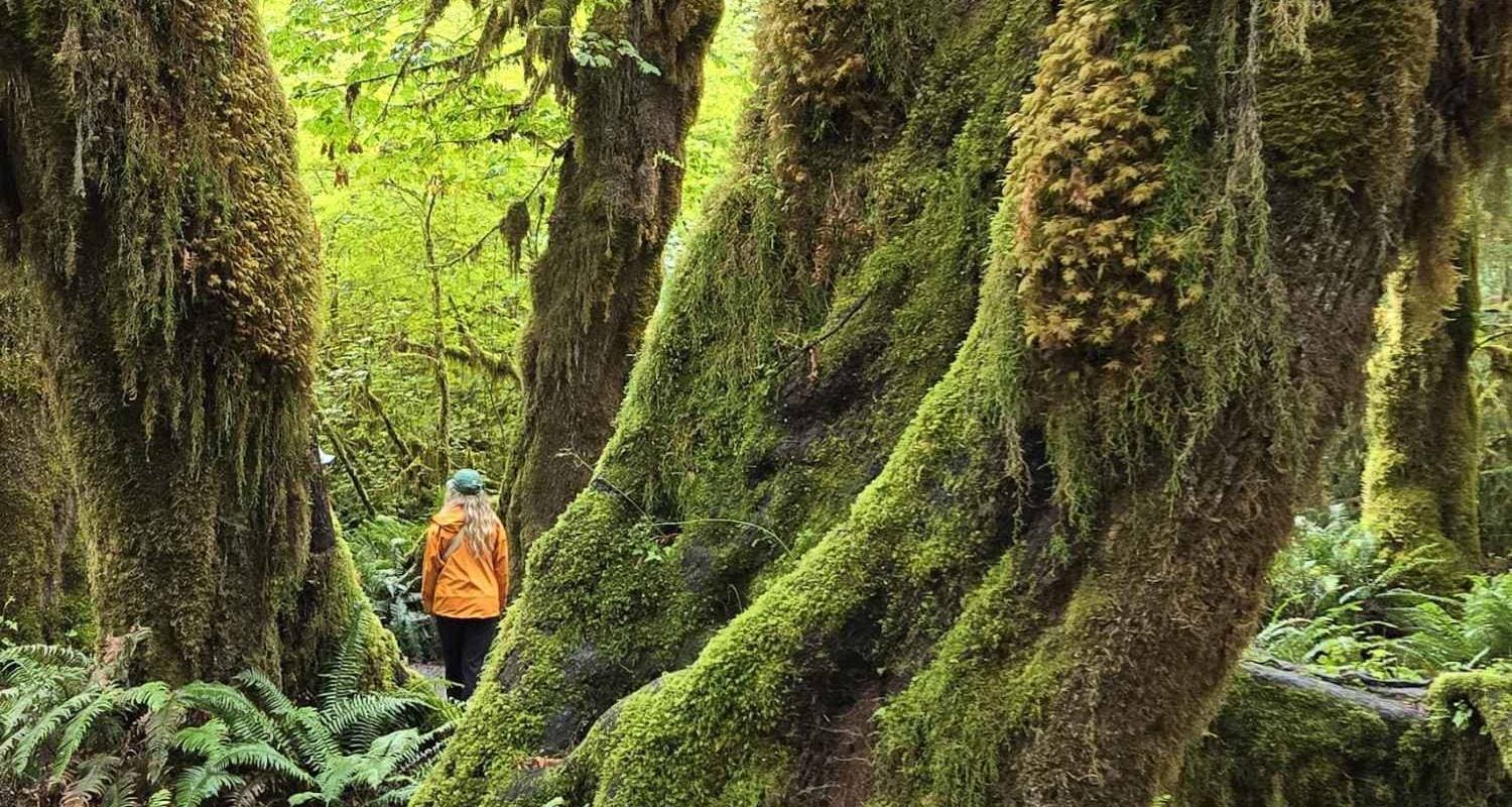 Vancouver Island Inn Based Walking Tour