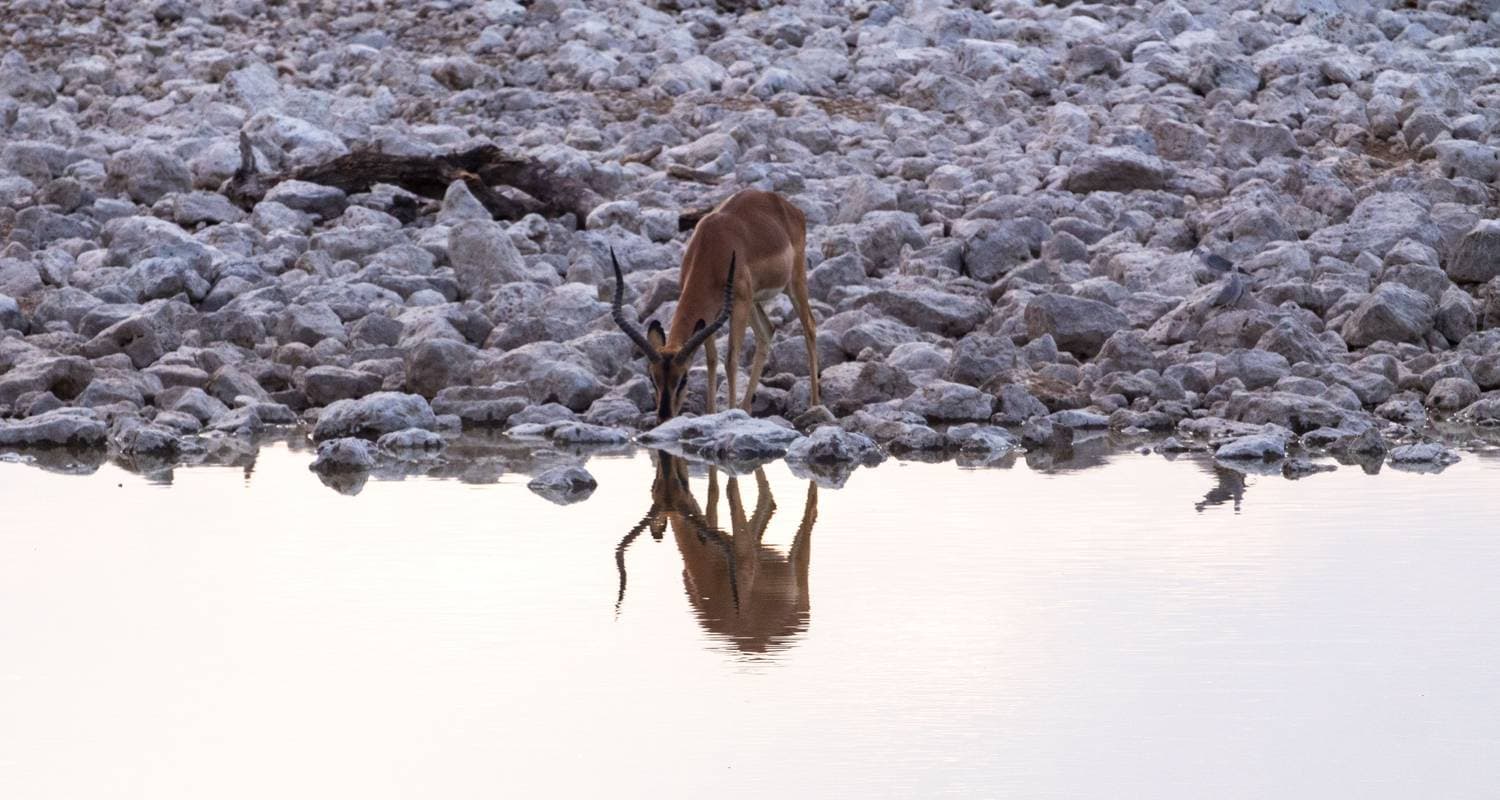 Southern Africa Adventure — photo 2