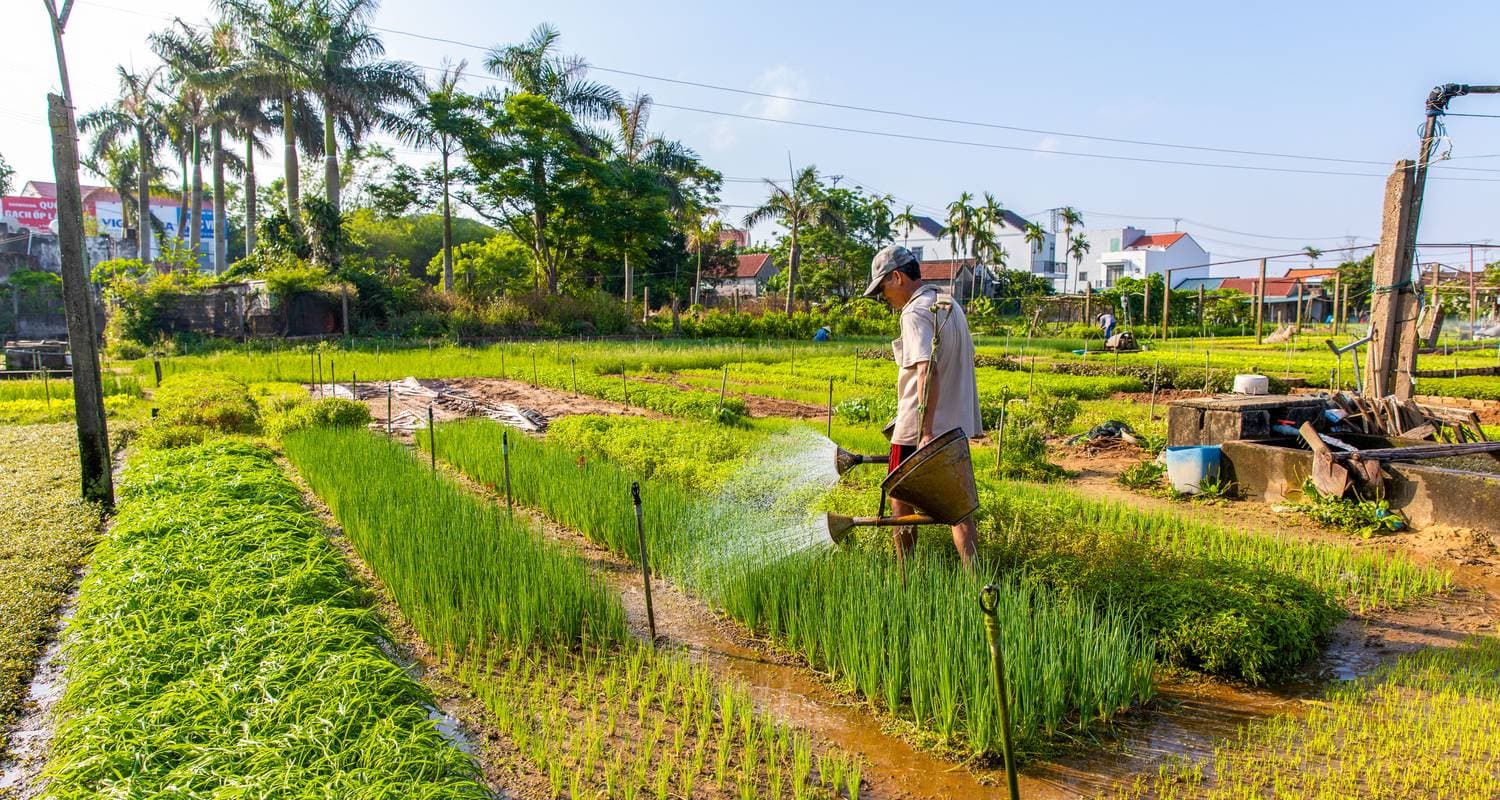 Southeast Asia 21-Day Highlights Tour