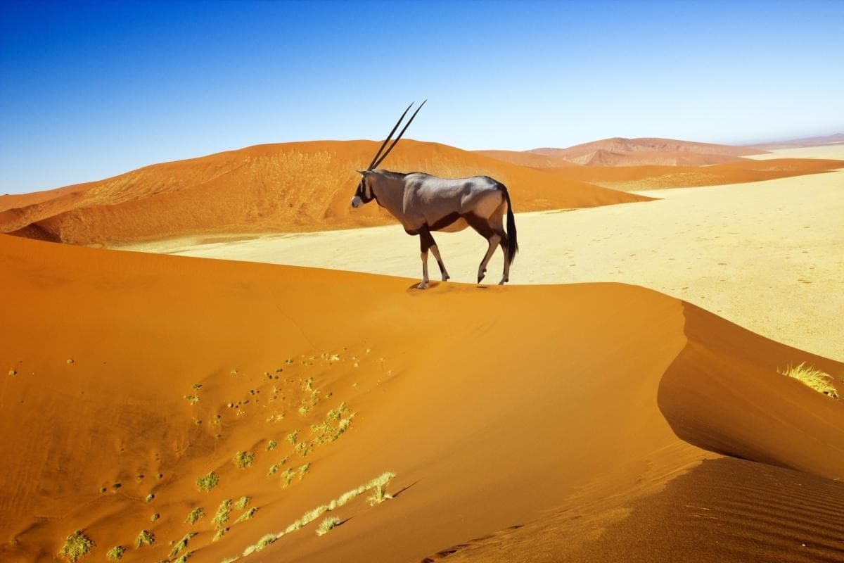 Sossusvlei