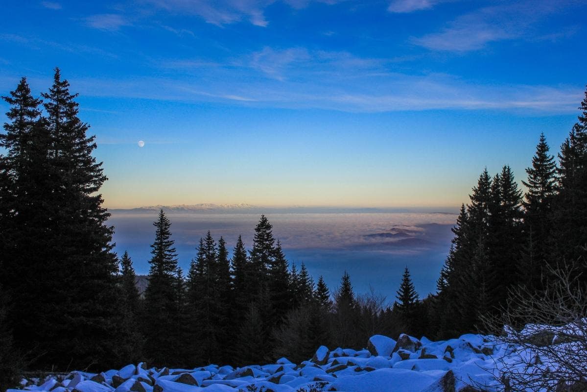 Vitosha Mountain 