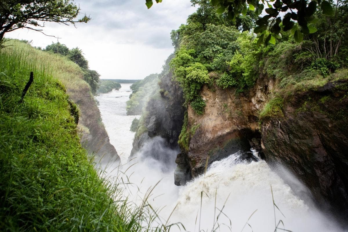 Murchison Falls National Park