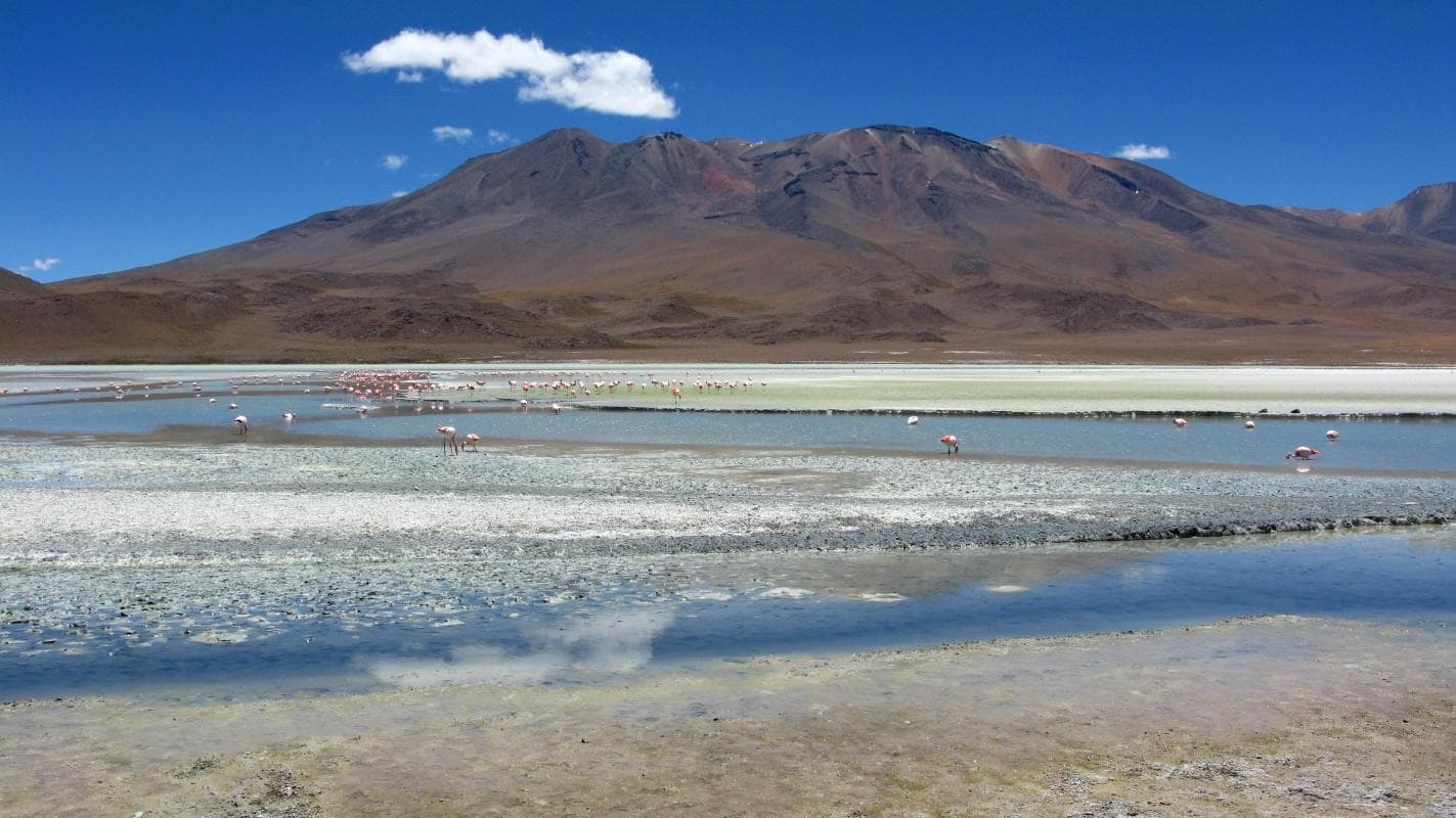 Tunupa Volcano