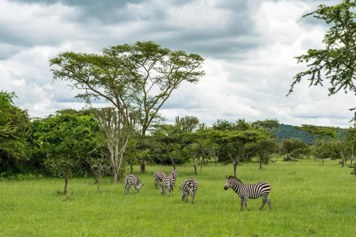 Lake Mburo National Park