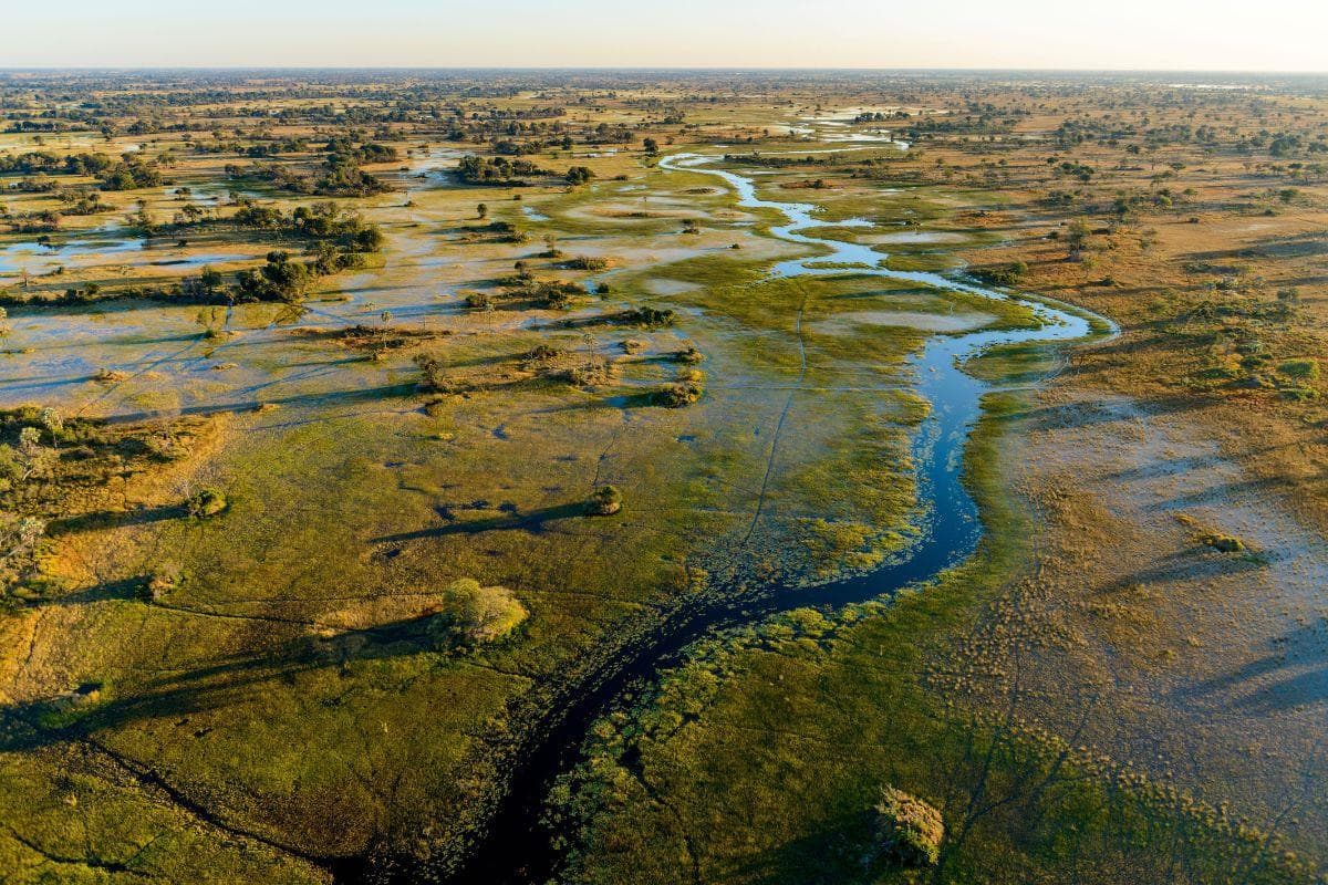 Okavango Delta