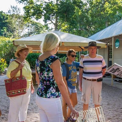 Walk the Darwin Botanic Gardens