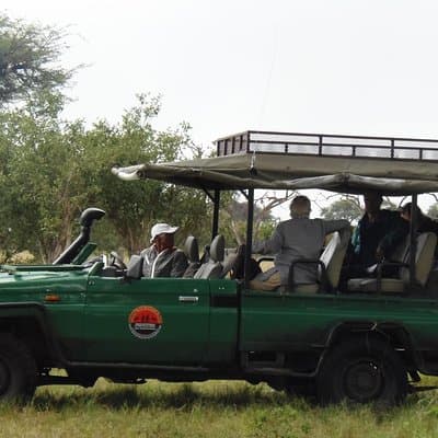 The Best of Botswana & Vic Falls - By Walking Stick Safaris