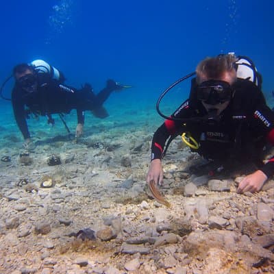 BRELA Bikini Dive *Try SCUBA DIVING*