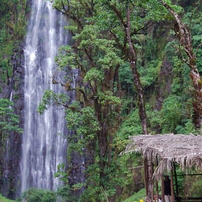 Day Trip Coffee Tour and Materuni Waterfalls