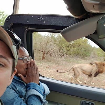 Safaris in Kruger National Park Full Day