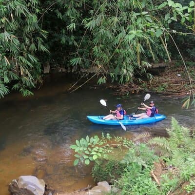 Rainforest Kayaking with Semenggoh Orangutan Center from Kuching