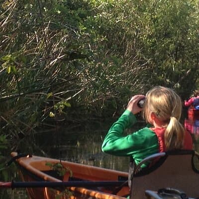 2Hour Everglades Kayak Safari Adventure Through Mangrove Tunnels