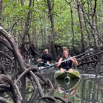 Half-Day Geopark Mangrove Kayaking Adventure