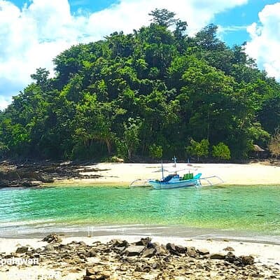 PortBartonDayTour