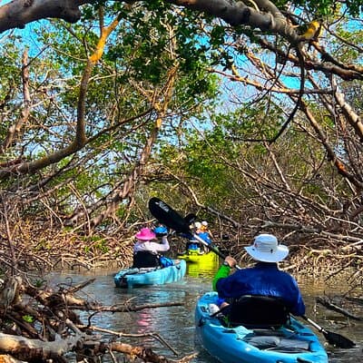 Elite Hobie Kayak Experience: Ultimate Premium Eco Adventure!