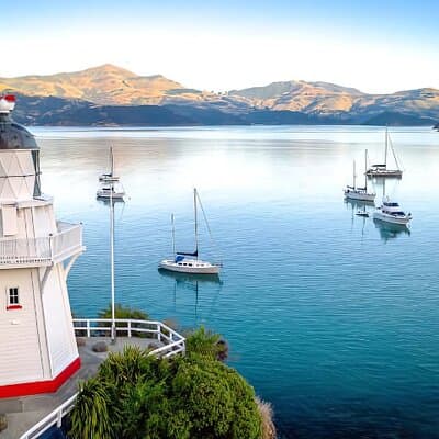 Akaroa Day Tour from Christchurch Return