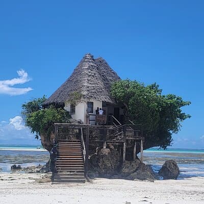 Jozani Forest Kuza Cave Paje Beach and the Rock Restaurant