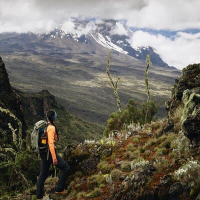 Kilimanjaro climb, Marangu route (6-day)
