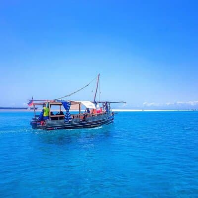Full Day Dolphins Watching with Snorkeling in Wasini