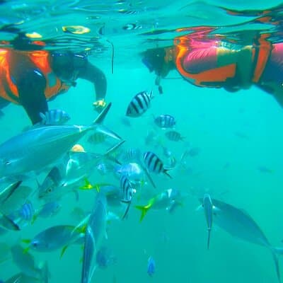 Kota Kinabalu Snorkeling Tour at Manukan and Sapi Island