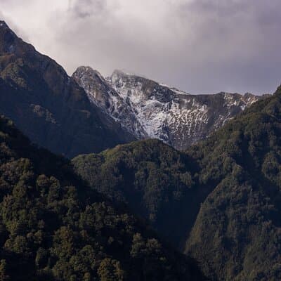 Christchurch to Franz Josef 1-Way Small Group Tour via Hokitika