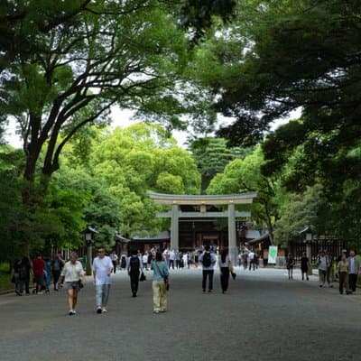 Harajuku Meiji Shrine Walking Tour in Tokyo