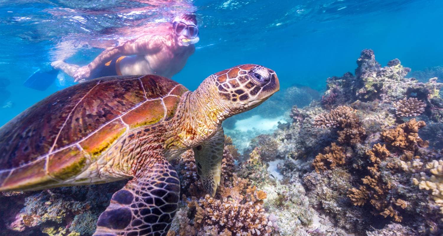 Perth to Exmouth Explorer & Ningaloo Reef 7 Day Original Tour