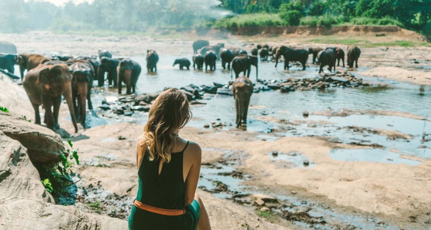 Glimpse of Sri Lanka Private Tour